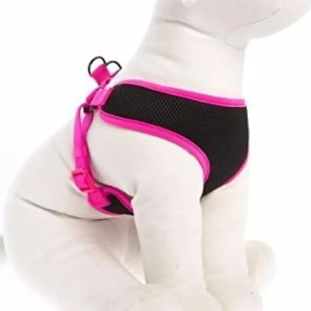 Top Paws Harness! - Picture 7 of 7